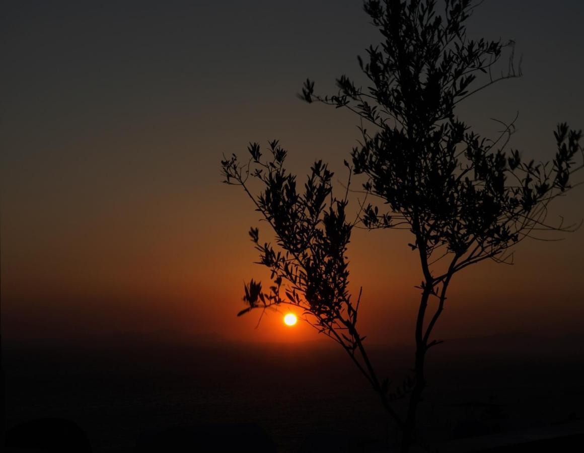 Villa Oasis Oia With Caldera View Dış mekan fotoğraf